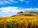 Schloss auf Hügel über herbstlichen Weinbergen.