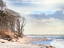 Küstenlandschaft mit Bäumen am Sandstrand bei bewölktem Himmel.