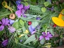 Nahaufnahme von bunten Blumen und Blättern auf einem Tisch.