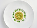 Elegante Speise mit grüner Garnitur auf weissem Teller.