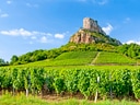 Weinberge vor Felsenlandschaft unter blauem Himmel.