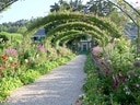 Blumenweg unter grünen Bögen zum Haus.