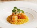 Kunstvoll angerichtetes Safranrisotto mit Garnelen und Kräutern.