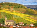 Herbstliche Weinberge und Dorf in hügeliger Landschaft.