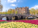 Historische Brücke und Gebäude in Amsterdam, umgeben von Tulpen.