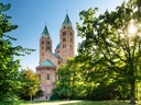 Historische Kathedrale hinter Bäumen im Sonnenlicht.