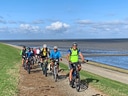 Gruppe von Radfahrern auf einem Deich am Meer bei sonnigem Wetter.