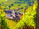 Blick auf ein Dorf inmitten von Weinbergen.