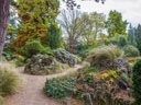 Gartenpfad mit Bäumen und Felsen.