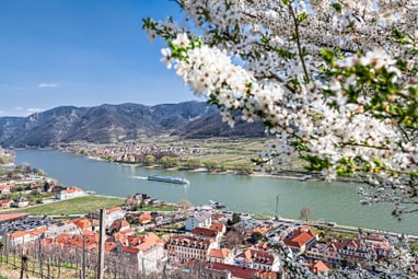 die-weltkulturerbelandschaft-wachau.jpg Blick auf Flusslandschaft mit blühenden Bäumen und Dörfern.