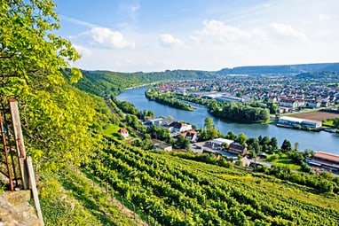 Panorama einer Flusslandschaft mit Weinbergen und einer Stadt im Hintergrund.