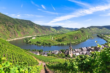 Panoramablick auf das Moseltal mit Weinbergen und Fluss.