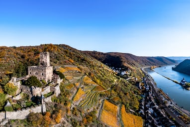 Luftaufnahme einer Burg mit Weinbergen und Fluss.