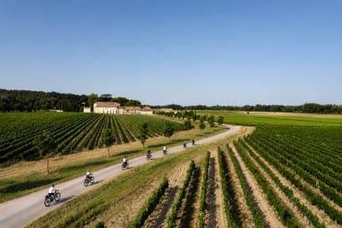 Gruppe von Radfahrern auf einem Weg zwischen Weinbergen bei klarem Himmel.