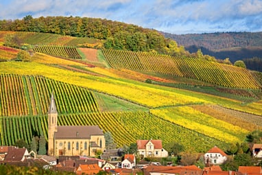 Herbstliche Weinberge und Dorf in hügeliger Landschaft.