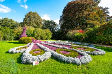 Garten mit grossen Pflanzenanordnung in Form eines Pfaus.