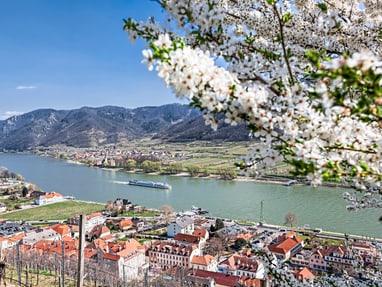 die-weltkulturerbelandschaft-wachau.jpg Blick auf Flusslandschaft mit blühenden Bäumen und Dörfern.