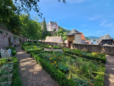gartenjuwel-mit-mainblick-der-renaissancegarten-miltenberg.jpg Garten mit gepflegten Hecken und blühenden Pflanzen vor einem Schloss auf einem Hügel.