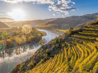 unesco-weltnaturerbe-wachau.jpg Herbstliche Weinberge am Flussufer bei Sonnenuntergang.