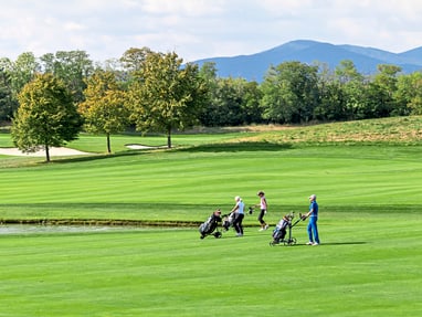 die-gruensten-seiten-der-donau-7.jpg Vier Personen spielen Golf auf einem grünen Platz.