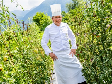 das-excellence-gourmetfestival-10.jpg Koch im weissen Outfit steht zwischen Tomatenpflanzen im Freien.