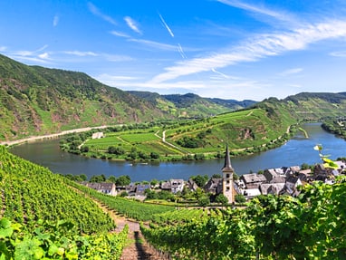 mosel.jpg Panoramablick auf das Moseltal mit Weinbergen und Fluss.