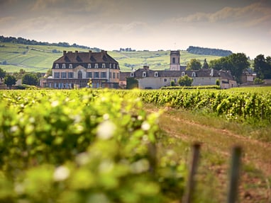 aus-dem-chateau-pommard-kommen-einige-der-herausragendsten-b.jpg Weinberge mit französischem Dorf im Hintergrund.