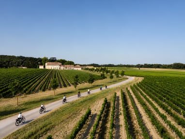 weinregion-chateauneuf-du-pape.png Gruppe von Radfahrern auf einem Weg zwischen Weinbergen bei klarem Himmel.