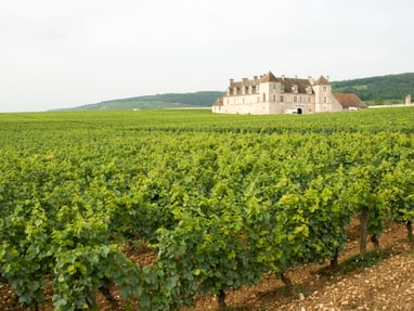 das-chateau-du-clos-de-vougeot-im-burgund.jpg Weingut inmitten von Weinbergen mit einem Herrenhaus im Hintergrund.