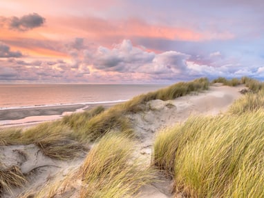 insel-texel.jpg Sanddünen am Strand bei Sonnenuntergang.