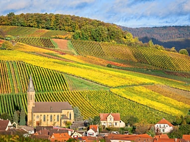 Herbstliche Weinberge und Dorf in hügeliger Landschaft.