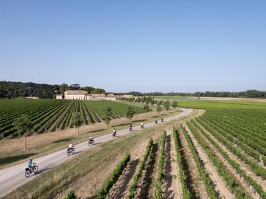 weinregion-chateauneuf-du-pape.jpg Radfahrer auf Schotterweg durch Weinberge.