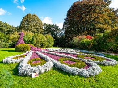aus-blueten-werden-federn-der-pfau-in-den-kasteeltuinen-arce.jpg Garten mit grossen Pflanzenanordnung in Form eines Pfaus.
