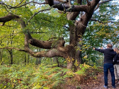 Insel Vilm