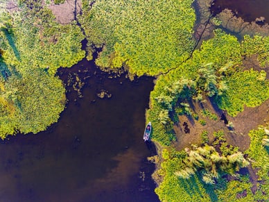 Danube Delta Luftaufnahme