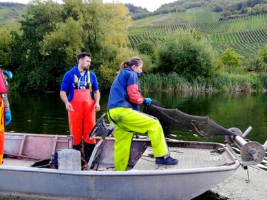Mann und Frau auf kleinem Boot auf der Mosel; Frau bedient Fischernetz, im Hintergrund terrassierte Weinberge.