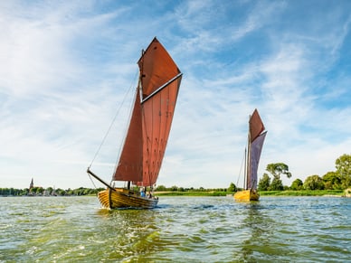 Zwei traditionelle Zeesenboote mit rötlich-braunen Segeln gleiten auf ruhigem Bodden-Wasser nahe Wustrow.