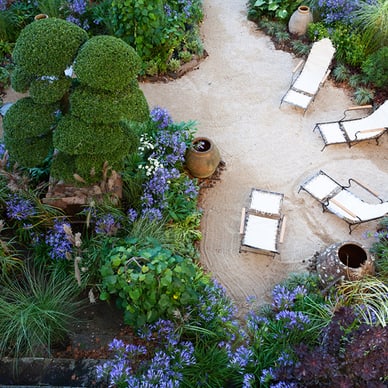 Garten mit Liegestühlen, Pflanzen und Sandboden.