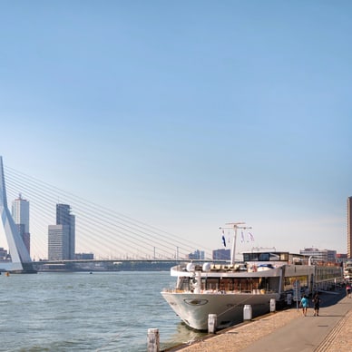 Ein Passagierschiff liegt am Ufer vor der Erasmusbrücke in Rotterdam mit ihrem markanten weissen Pylon.