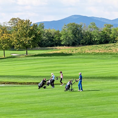 excellence-golf-trophy-27-12.jpg Vier Personen spielen Golf auf einem grünen Platz.