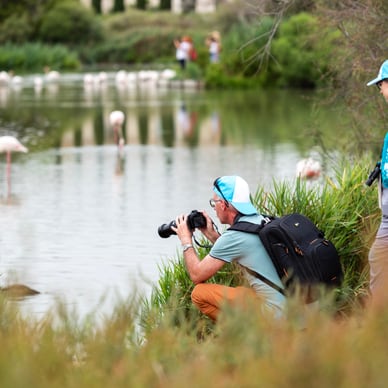 Mann und Frau beobachten Flamingos an einem Teich.
