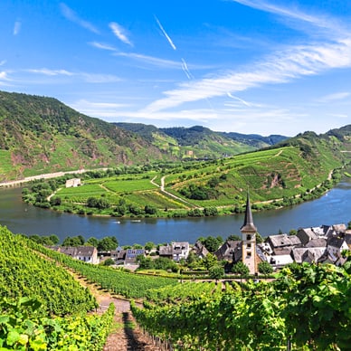 mosel.jpg Panoramablick auf das Moseltal mit Weinbergen und Fluss.