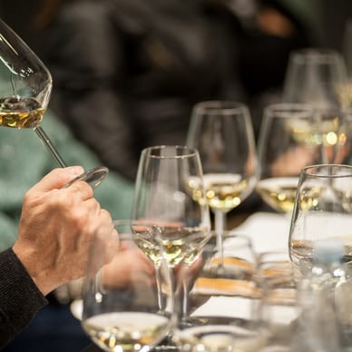 Person riecht an einem Glas Weisswein bei einer Weinprobe.