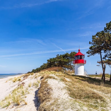 Leuchtturm auf einer sandigen Düne mit Bäumen am Meer.