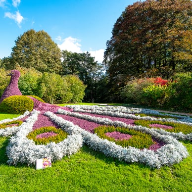 Garten mit grossen Pflanzenanordnung in Form eines Pfaus.
