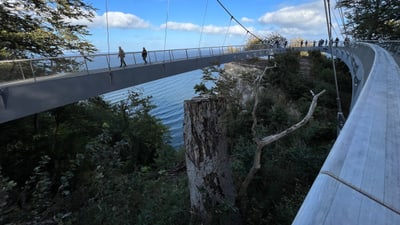 Hängebrücke über Küstenlandschaft mit Meerblick.