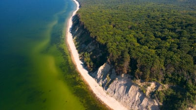 twerenbold_90952.jpg Luftaufnahme von Küste mit Strand und Wald.