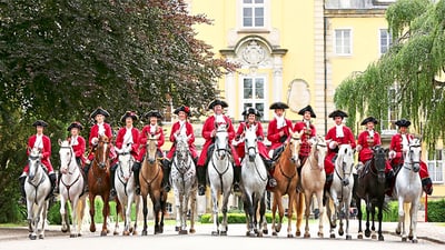 twerenbold_64055.jpg Gruppe von Reitern in roten Jacken auf einer Allee vor einem Gebäude.