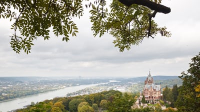 Schloss an einem Flussufer mit Bäumen im Vordergrund.