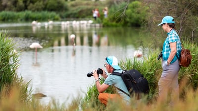 der-vogelpark-pont-de-gau-in-der-bucht-bei-saintes-maries-de.jpg Mann und Frau beobachten Flamingos an einem Teich.